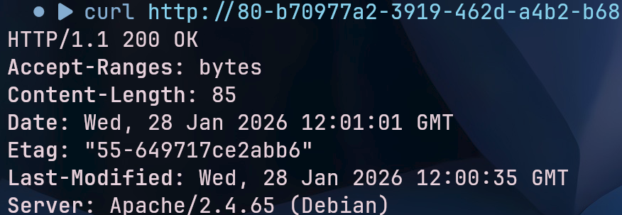 image-20260128200054485