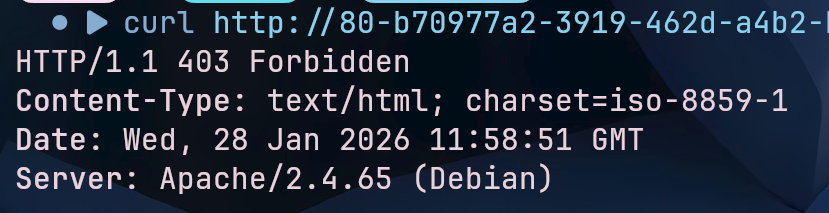 image-20260128195837552