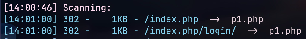 image-20251224140119953