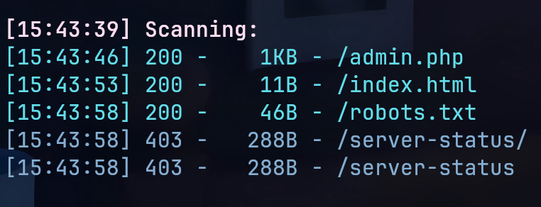 image-20251224154428482