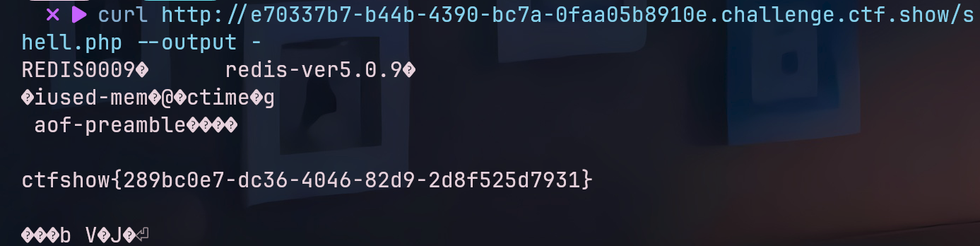 image-20260113171735919